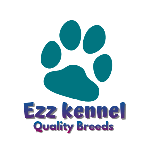 Ezz Kennel Club