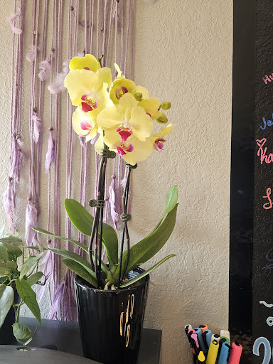 Explore simple thigh tattoo ideas, creative tattoo ideas in Beaverton, available at In The Mix Tattoo Studio LLC