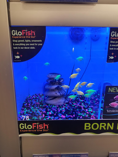 Pet Supply Store «PetSmart», reviews and photos, 98 Providence Hwy, East Walpole, MA 02032, USA