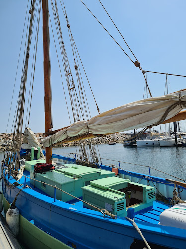 Agence d'excursions en bateau Voilier traditionnel Amzer'zo, sorties en mer Saint-Martin-des-Champs