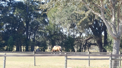 Winery «Backyard Barn Winery & Microbrewery», reviews and photos, 1945 E Co Rd 462, Wildwood, FL 34785, USA