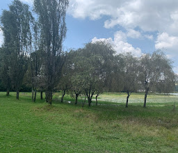 Jurassic Bike Park Toluca photo