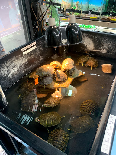 Pet Store «Jules Pet Shop», reviews and photos, 2214 N Milwaukee Ave, Chicago, IL 60647, USA