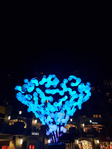 Restaurant «Bol», reviews and photos, 141 E Meadow Dr #113, Vail, CO 81657, USA