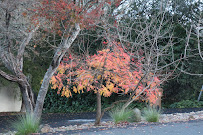 Shoot In Cali Photography - Photo 2 - Car repair in , Fairfield