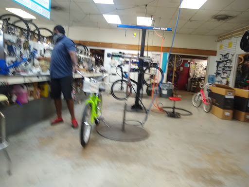 Bicycle Store «LakeShore Bicycles», reviews and photos, 2108 Blanding Blvd, Jacksonville, FL 32210, USA