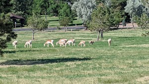 Camplex Park - photo 25