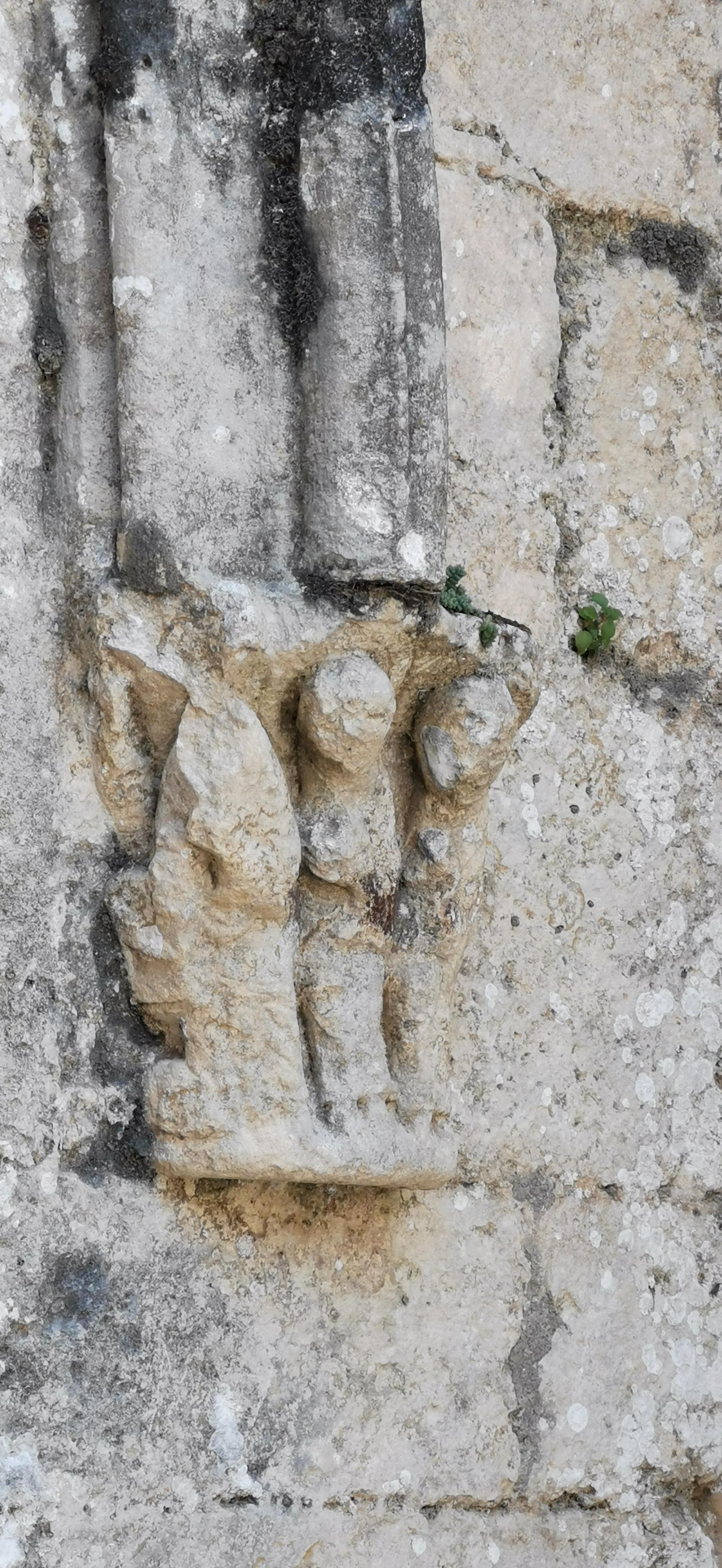 Photo n° 11 de l'avis de Michel.a fait le 27/06/2023 à 04:46