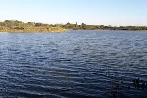 Lagoa Taquaral image