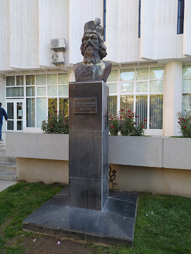 Strada Hagi Chiriac 2, Vaslui 730129