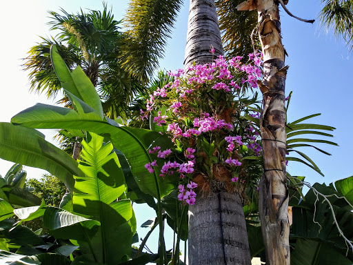 Cosmetics Store «SEPHORA», reviews and photos, 721 Collins Ave, Miami Beach, FL 33139, USA