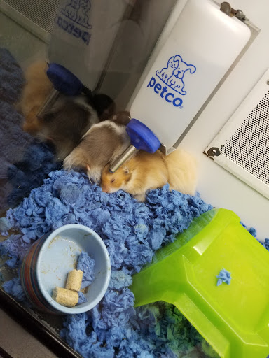 Pet Supply Store «Petco Animal Supplies», reviews and photos, 28400 Dequindre Rd, Warren, MI 48092, USA