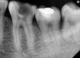 Doctor Dent — Odontología Integral