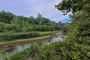 Rouge Park Finch Meander Area image