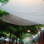 Photo n°1 de l'avis de Sang.y fait le 31/05/2021 à 04:33 sur le  Trattoria dei Cacciatori à Peschiera Borromeo