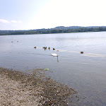 Photo n°3 de l'avis de Federico.r fait le 08/07/2016 à 18:19 sur le  Schiranna pool club Varese à Varese