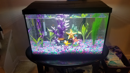 Pet Supply Store «PetSmart», reviews and photos, 2701 GA-54, Peachtree City, GA 30269, USA