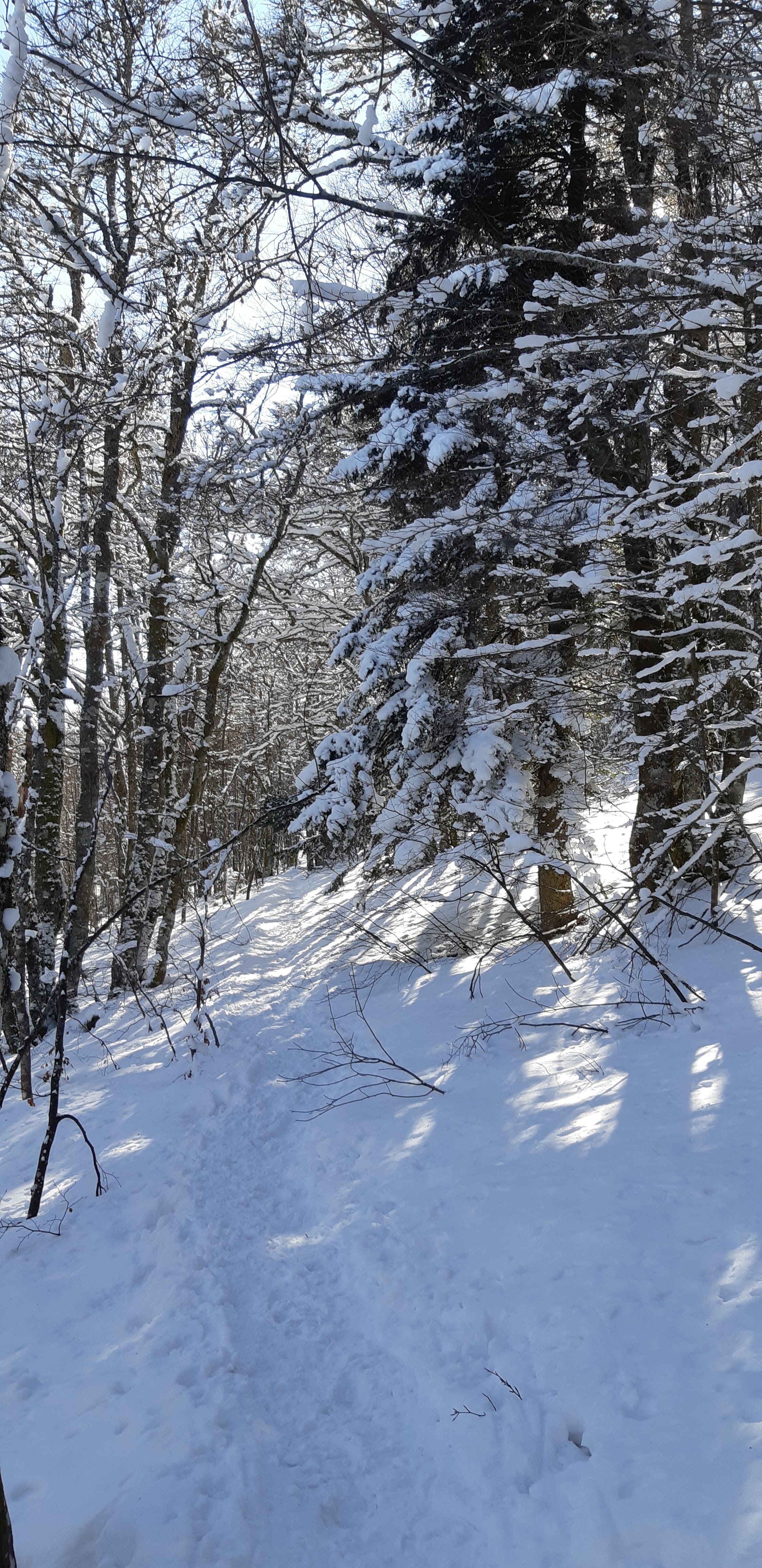 Photo n° 13 de l'avis de Patricia.t fait le 24/12/2017 à 19:48