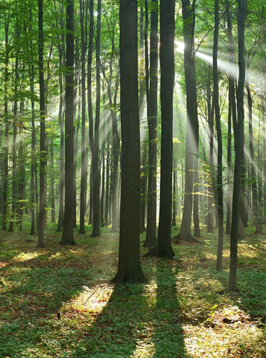 Funeral Home «Mission Park Funeral Chapels and Cemeteries», reviews and photos, 1700 SE Military Dr, San Antonio, TX 78214, USA