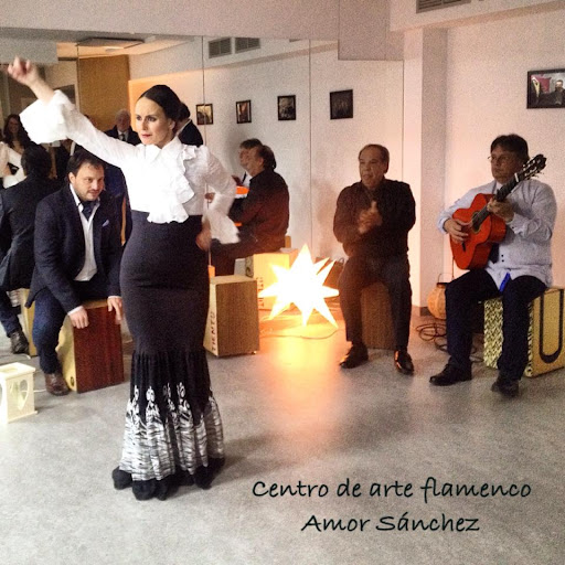 Imagen del negocio Centro de Arte y Flamenco Amor Sánchez en Zaragoza, Zaragoza