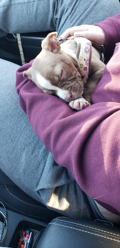 Pet Store «Animal House», reviews and photos, 7869 Hamilton Ave, Cincinnati, OH 45231, USA