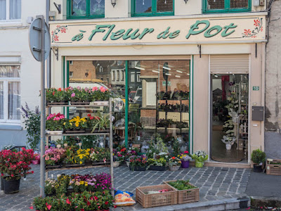 À Fleur de Pot à Bergues
