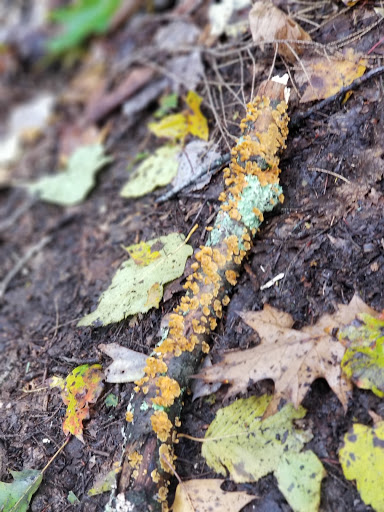 Bed & Breakfast «Inn at Lake Joseph», reviews and photos, 162 St Josephs Rd, Forestburgh, NY 12777, USA