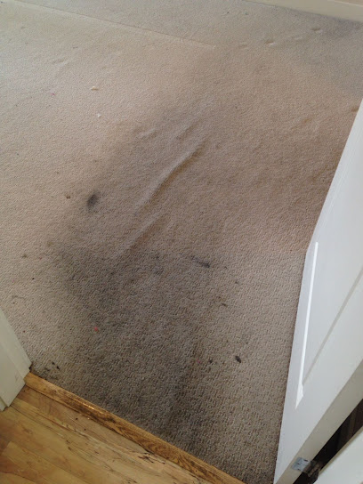 Carpet Cleaning By Carlos