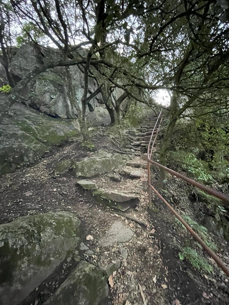 Photo n° 2 de l'avis de Tal. fait le 31/12/2023 à 15:22