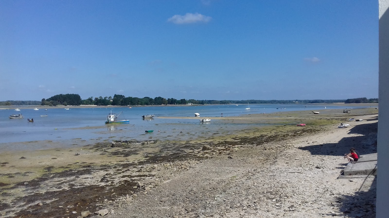 Foto di Plage de la Cale con una superficie del sabbia beige e rocce