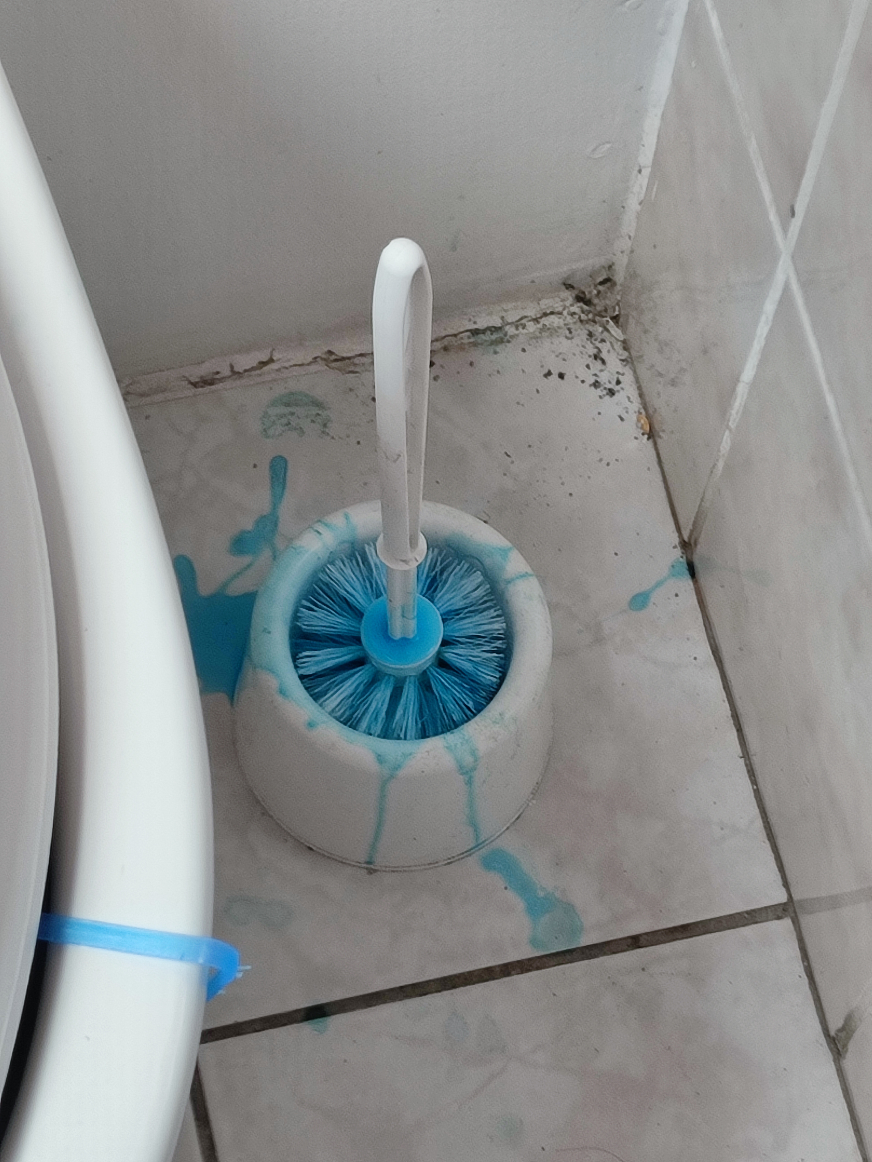Photo n° 3 de l'avis de Anne.o fait le 07/07/2023 à 09:53