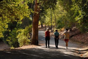 Linda Vista Park - photo 36