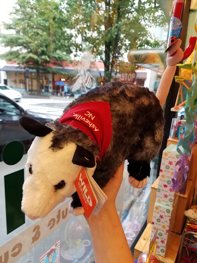 Toy Store «Curio», reviews and photos, 2 Battery Park Ave, Asheville, NC 28801, USA