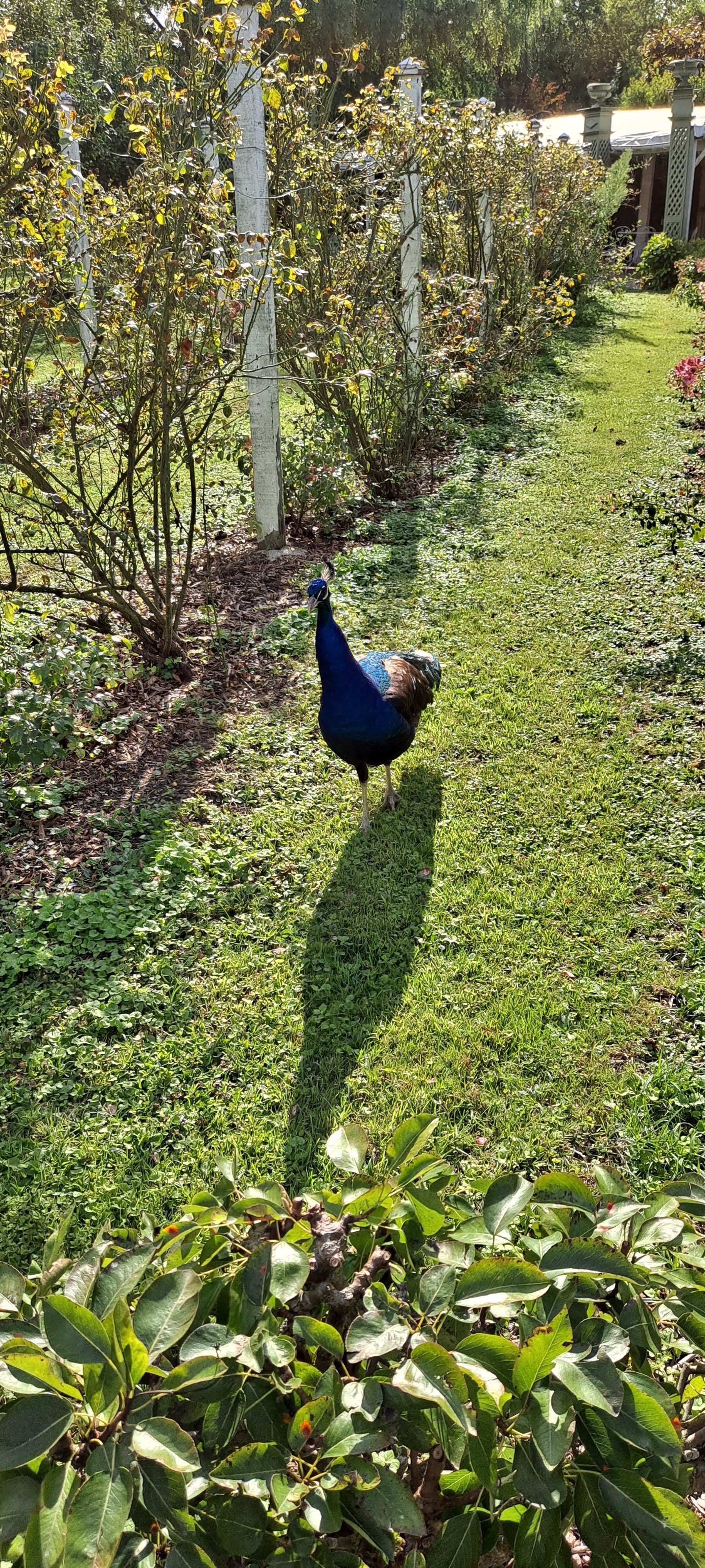 Photo n° 2 de l'avis de Elody.a fait le 17/08/2021 à 18:52