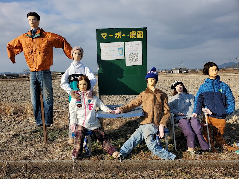 (株)マーボー・農園