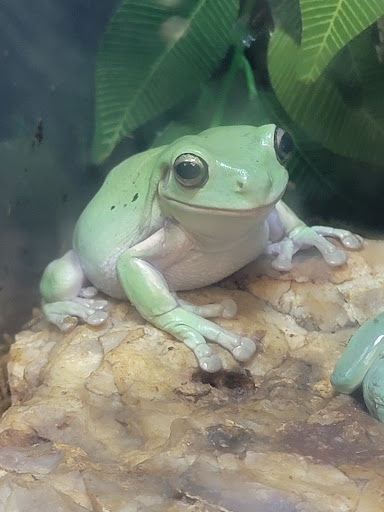 Zoo «Sierra Safari Zoo», reviews and photos, 10200 N Virginia St, Reno, NV 89506, USA