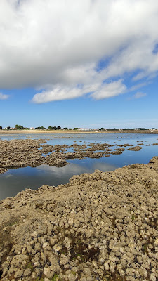 Écluse à poissons à Saint-Denis-d'Oléron