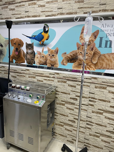 عيادة المرعى البيطرية | Almaraa Vet Clinic