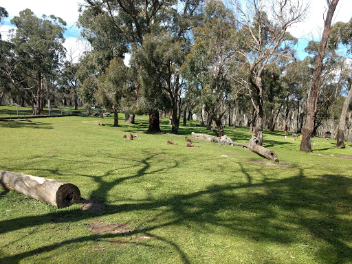 First campsites Adelaide