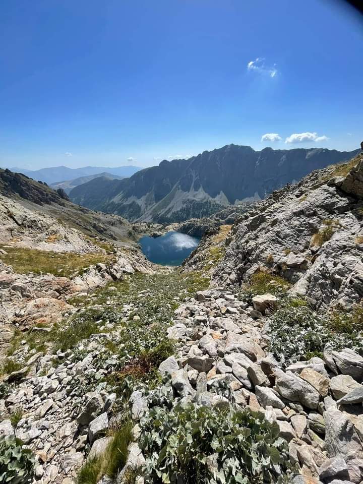 Photo n° 8 de l'avis de Gérard.e fait le 24/09/2023 à 09:21