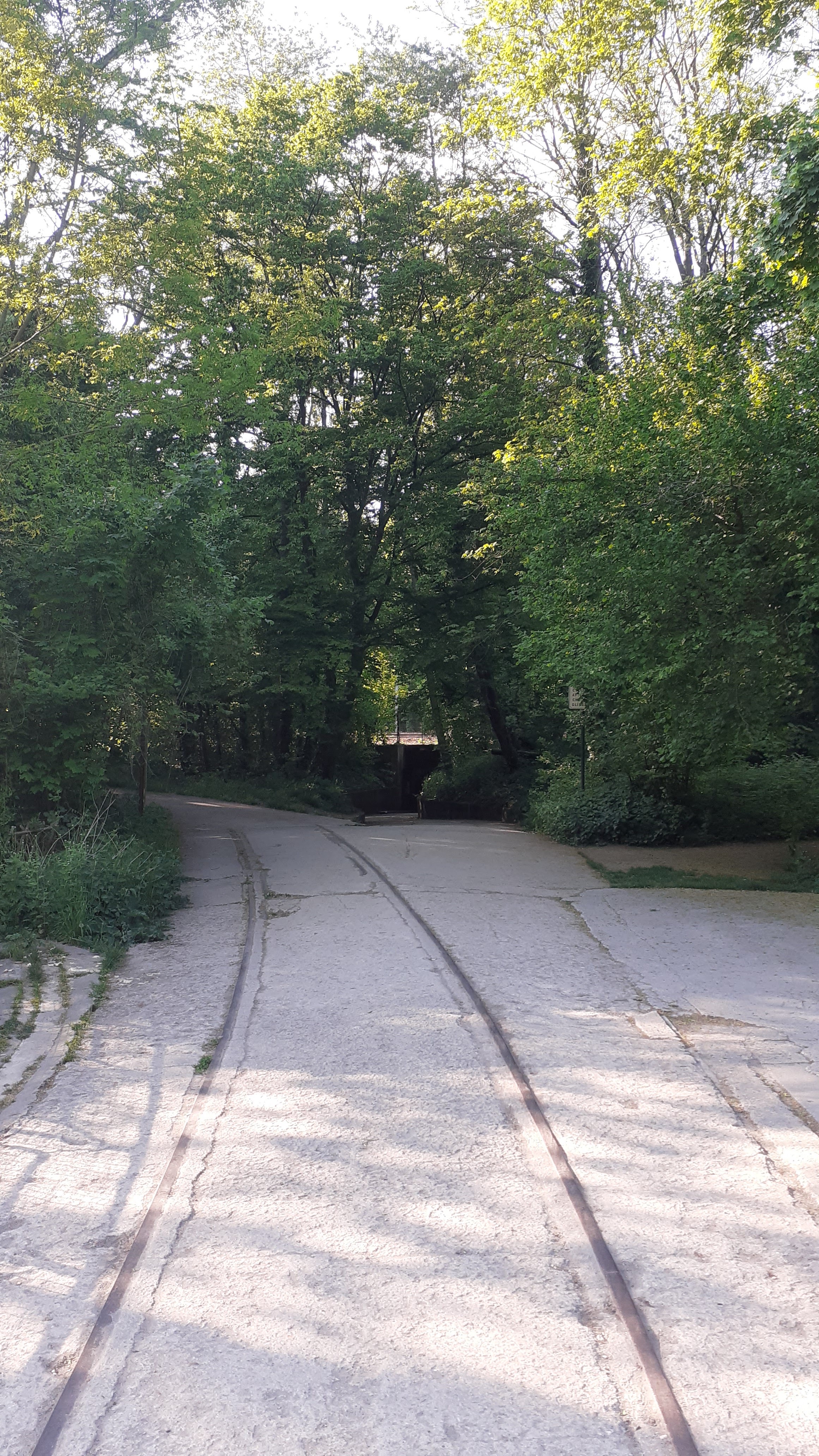 Photo n° 42 de l'avis de Michel. fait le 04/11/2019 à 16:32
