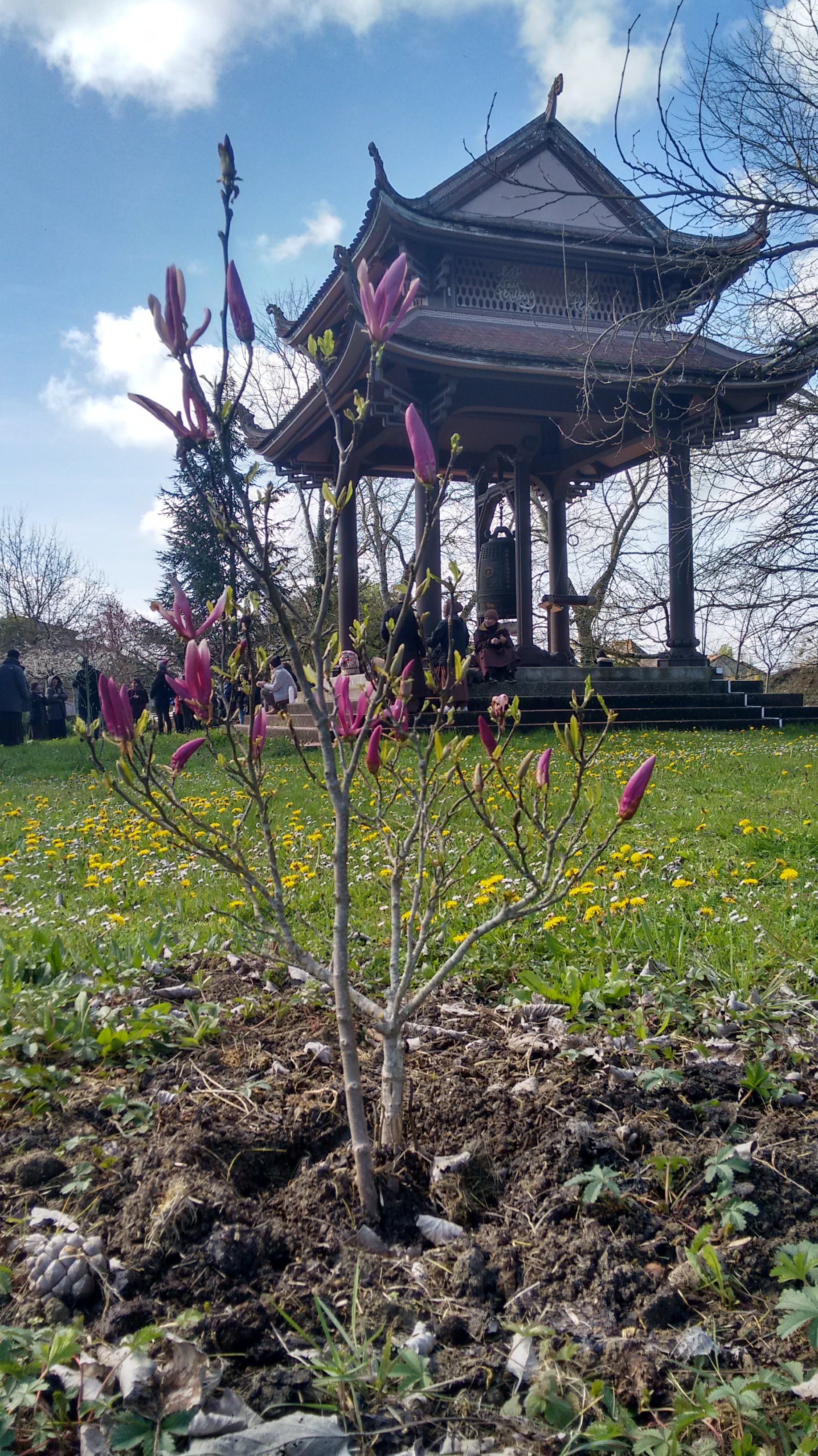 Photo n° 5 de l'avis de Felipe.a fait le 01/04/2018 à 19:04