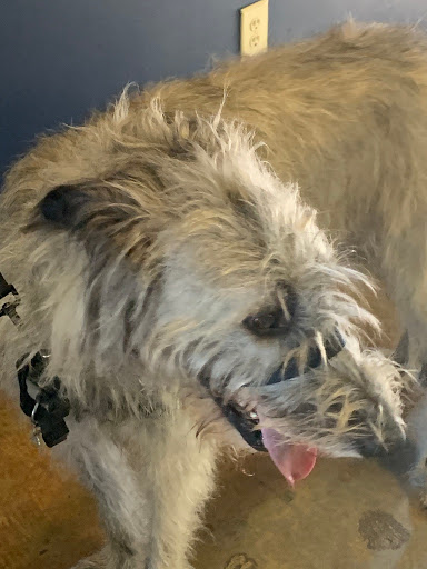 Insurance Agency «Dickerson Agency Inc», reviews and photos