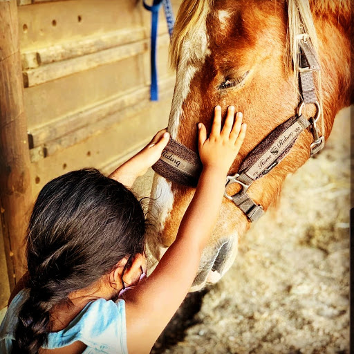 Centro Ecuestre Pony Club Piedra Roja Chicureo