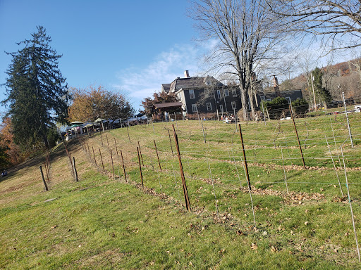 Vineyard «Torne Valley Vineyard», reviews and photos, 1 Torne Valley Rd, Hillburn, NY 10931, USA
