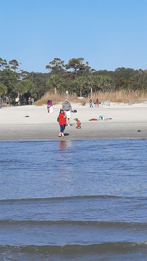 Shopping Mall «Coligny Plaza Shopping Center», reviews and photos, 1 N Forest Beach Dr, Hilton Head Island, SC 29928, USA
