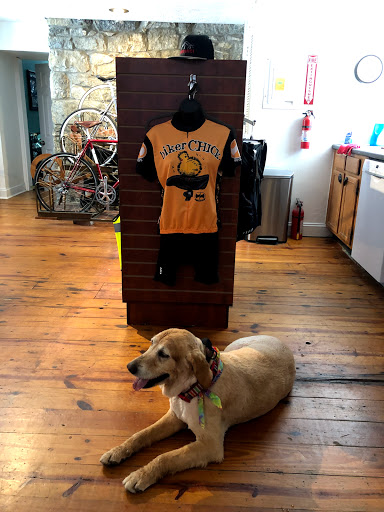 Bicycle Store «The Cycle Mill», reviews and photos, 169 Frederick Rd, Ellicott City, MD 21043, USA