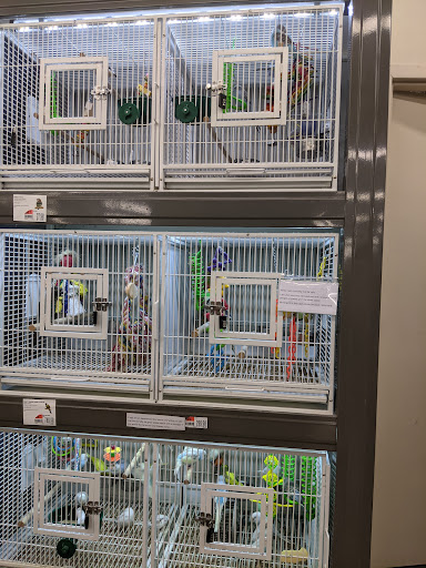 Pet Supply Store «Pet Supplies Plus», reviews and photos, 400 Lowell Ave Suite 14, Haverhill, MA 01832, USA