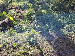 Cape Horn Trail - photo 47