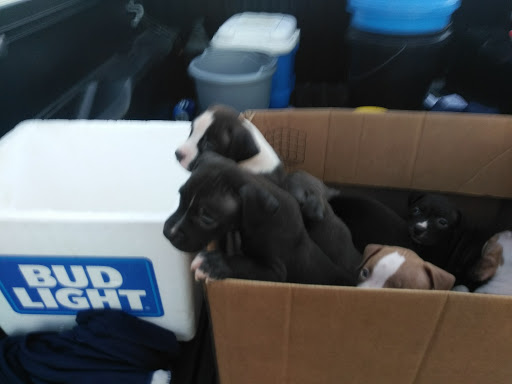 Gift Shop «North Beach Gift Shop», reviews and photos, 2901 Surfside Blvd, Corpus Christi, TX 78402, USA